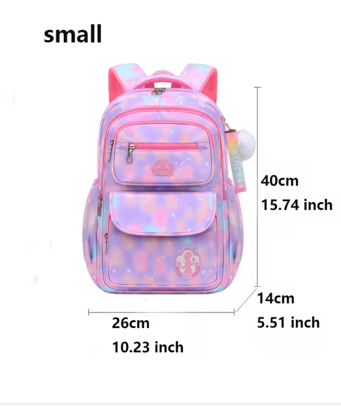 Organizational backpack pink rainbow