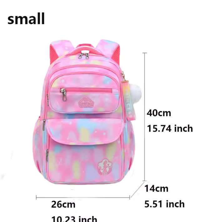 Organizational backpack pink rainbow