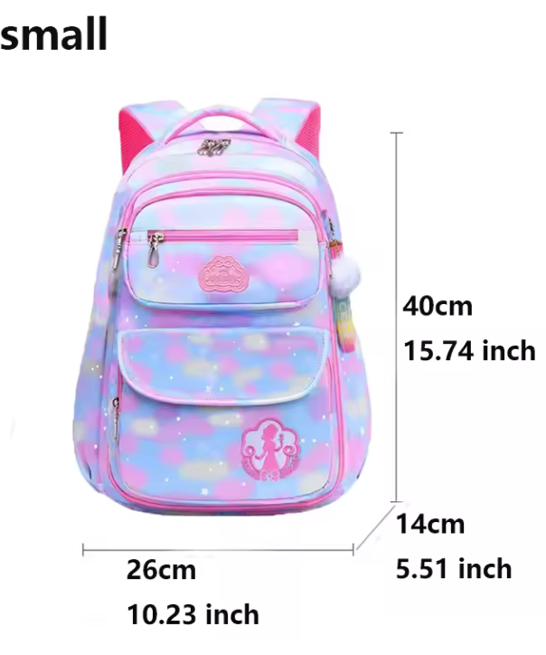 Organizational backpack pink rainbow
