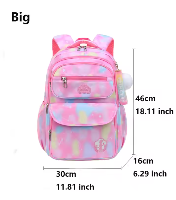 Organizational backpack pink rainbow