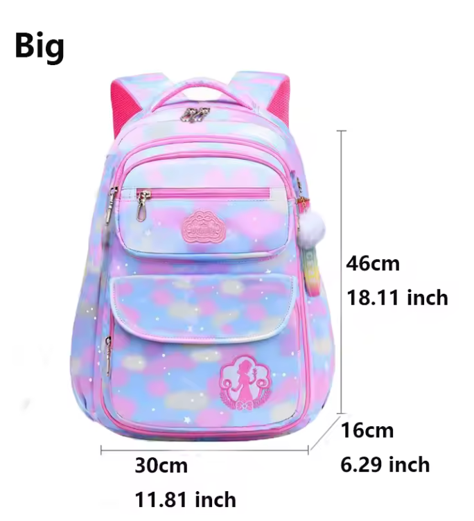 Organizational backpack pink rainbow