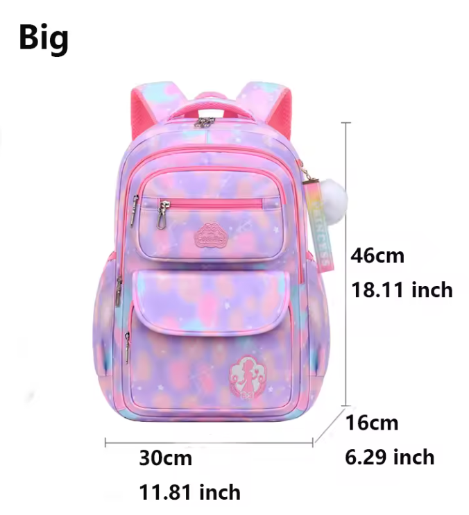 Organizational backpack pink rainbow